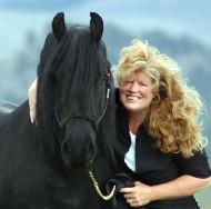 View Friesian horse purchasing details for Reese