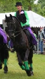 View Friesian horse purchasing details for Stella BSF