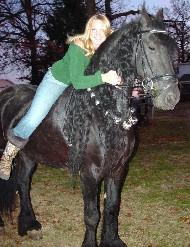 View Friesian horse purchasing details for Tjitske