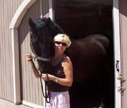 View Friesian horse purchasing details for Wynzen fan Weerdenbras