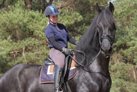 View Friesian horse purchasing details for DAGMAR STER & CROWN