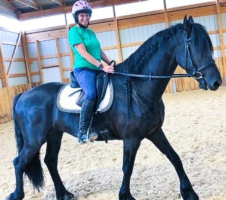 View Friesian horse purchasing details for EMORY STER