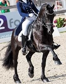 View Friesian horse purchasing details for Eos ELITE