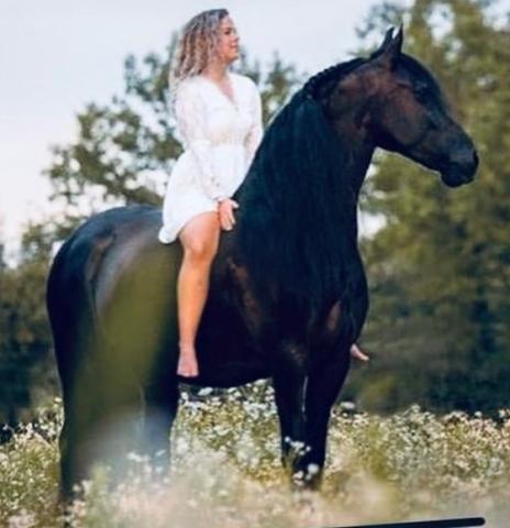 View Friesian horse purchasing details for ESMERALDA