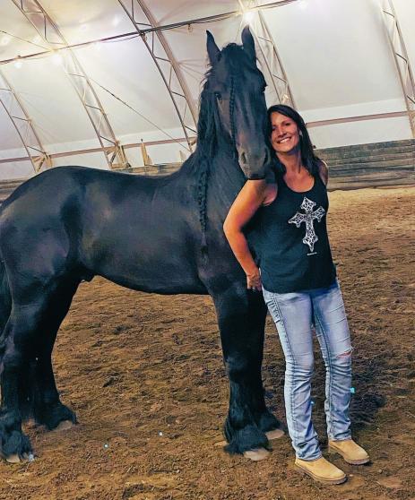 View Friesian horse purchasing details for EVERT BSF