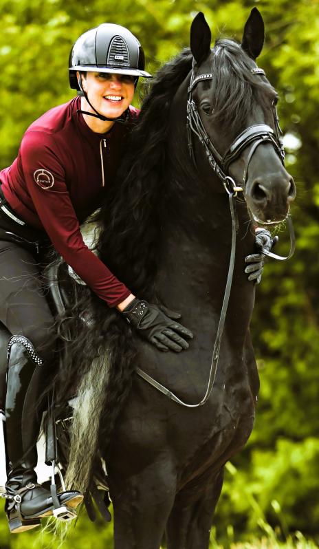 View Friesian horse purchasing details for FINLEY