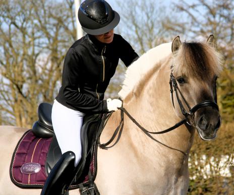 View Friesian horse purchasing details for KING