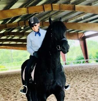 View Friesian horse purchasing details for Zayden