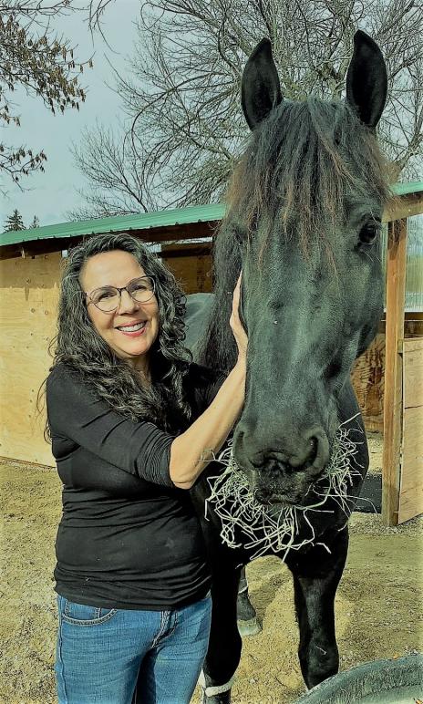 View Friesian horse purchasing details for Bowie