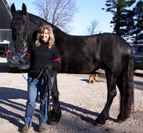 View Friesian horse purchasing details for Geeske