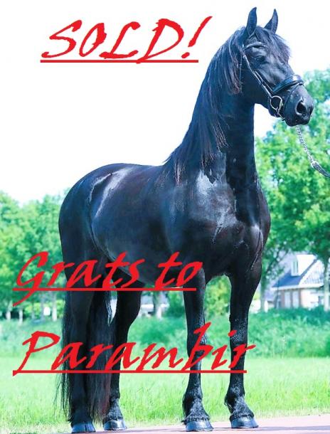 View Friesian horse purchasing details for GEMMA