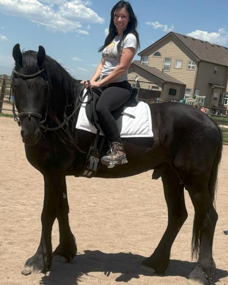 View Friesian horse purchasing details for MASON