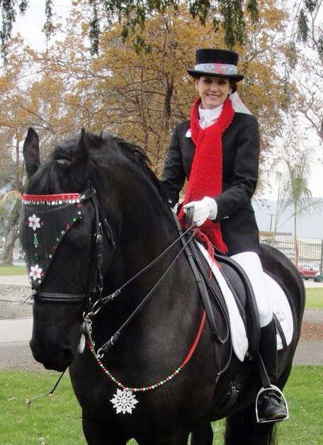 View Friesian horse purchasing details for Hielke fan de Garelanden