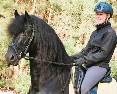 Horse Photo