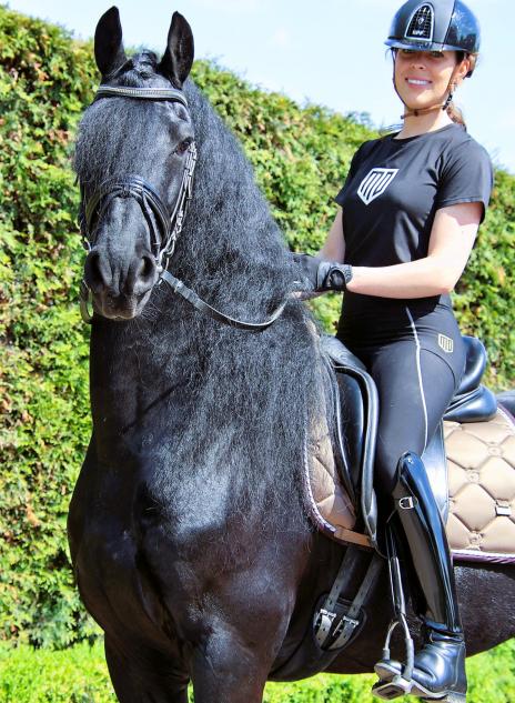 View Friesian horse purchasing details for JULIUS STER