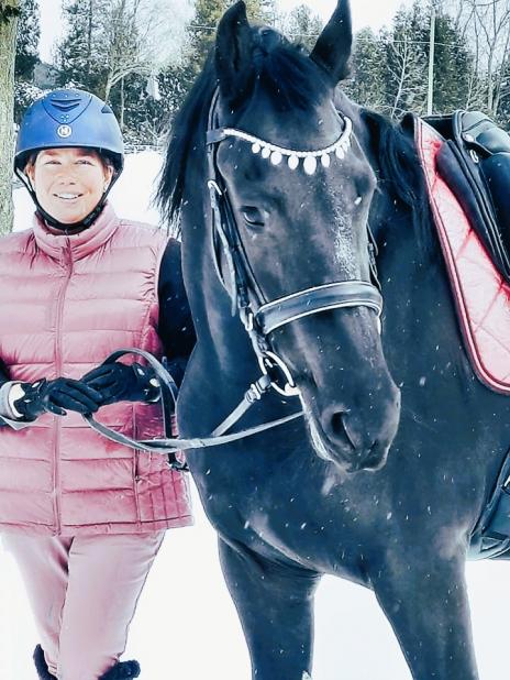 View Friesian horse purchasing details for JULIANNA