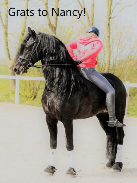 View Friesian horse purchasing details for MANOLO STER