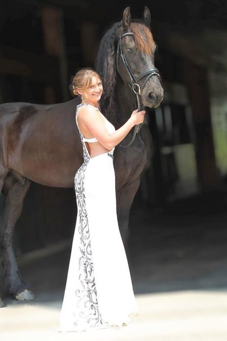 View Friesian horse purchasing details for NASH STER