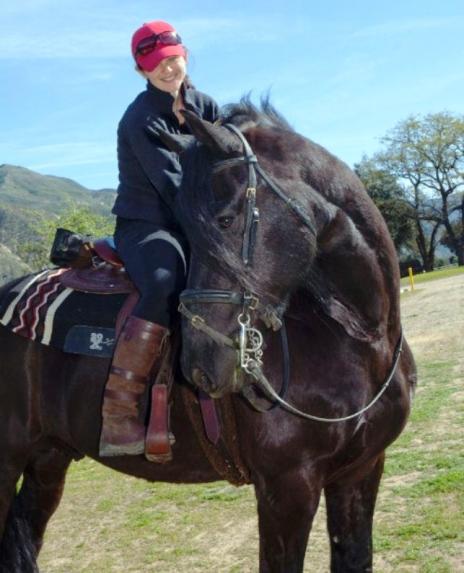 View Friesian horse purchasing details for NATE