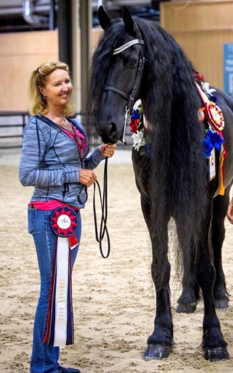 View Friesian horse purchasing details for Rikki STER