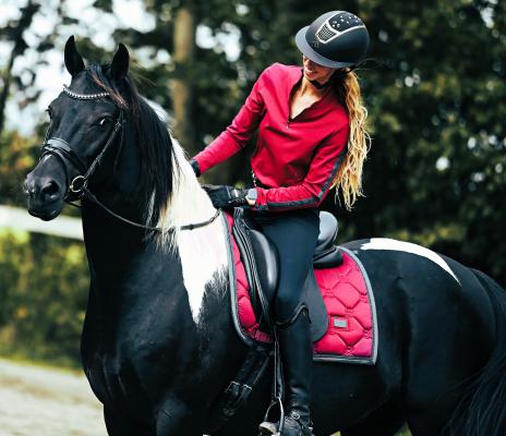 View Friesian horse purchasing details for RILEY