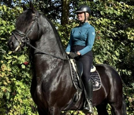 Horse Photo