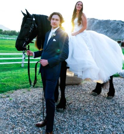 View Friesian horse purchasing details for SEYMOUR STER SPORT