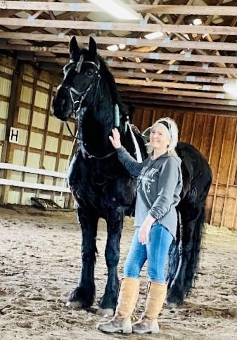 View Friesian horse purchasing details for Sybe