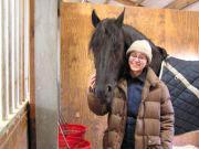 View Friesian horse purchasing details for Talman