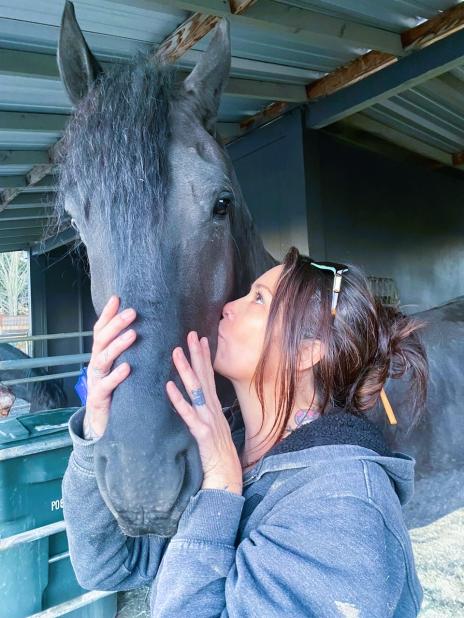 View Friesian horse purchasing details for BRODIE