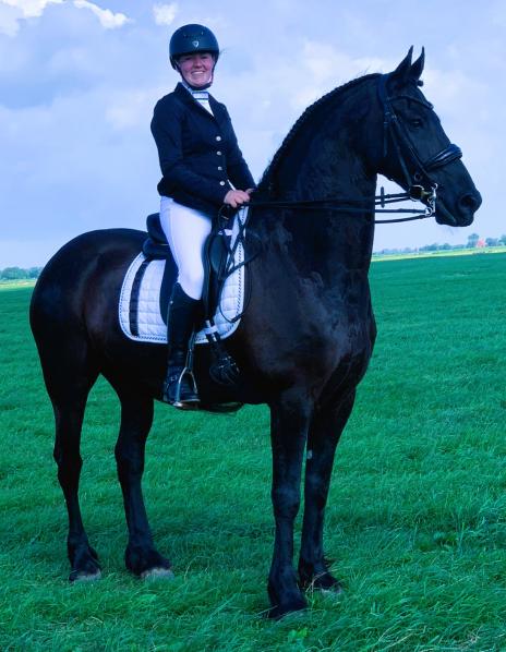 View Friesian horse purchasing details for TEUNIS SPORT