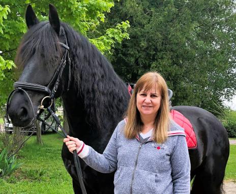 View Friesian horse purchasing details for Theo