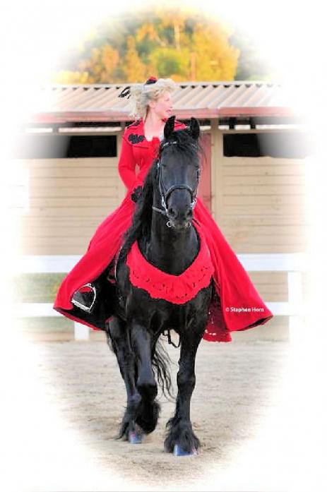 View Friesian horse purchasing details for Tjarda