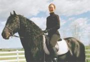 View Friesian horse purchasing details for Tjeerd