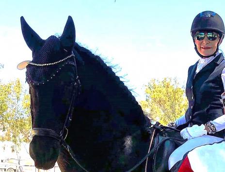 View Friesian horse purchasing details for TWIX STER SPORT