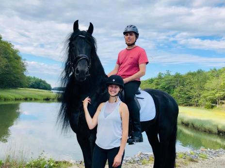 View Friesian horse purchasing details for Tymon