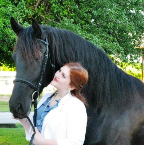 View Friesian horse purchasing details for Wendy N.