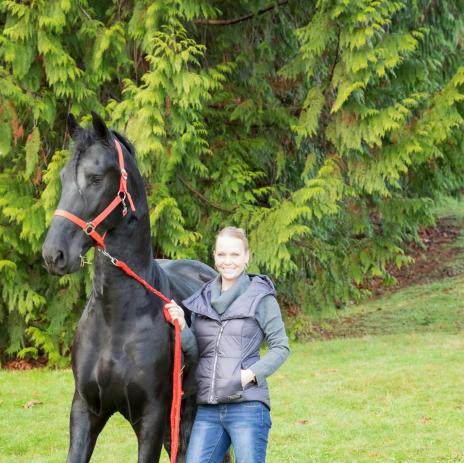View Friesian horse purchasing details for ZEUS STER