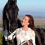 Friesian horses