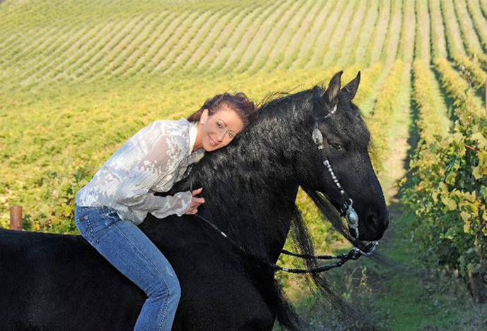 Friesian horses