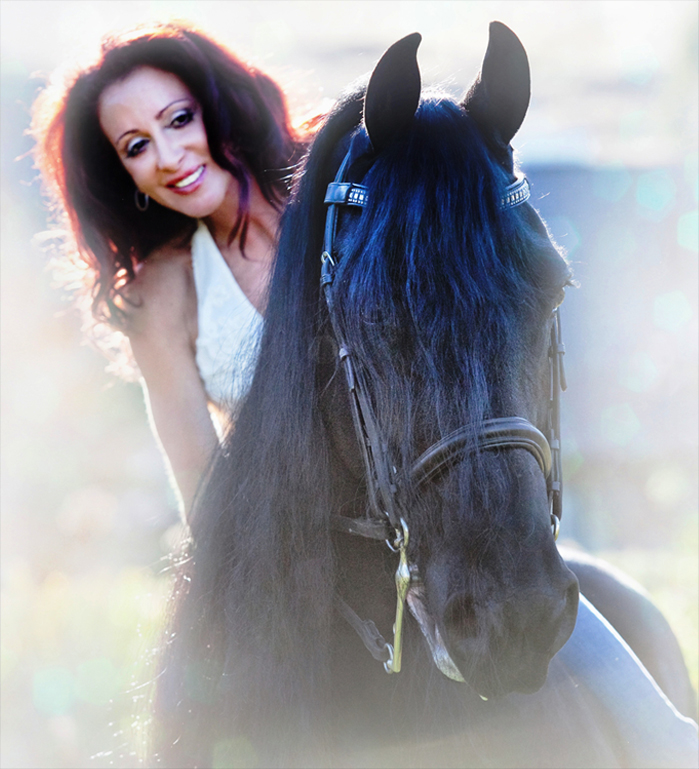 Friesian horses