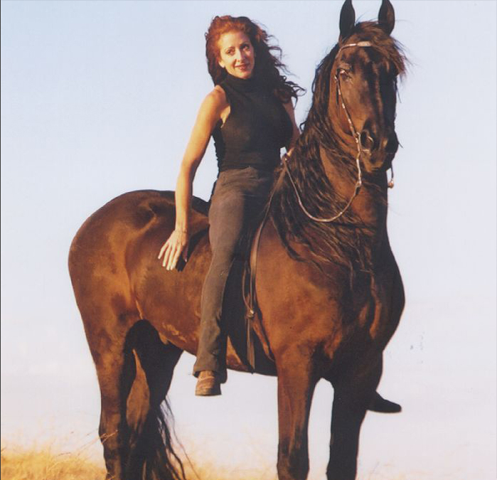 Friesian horses