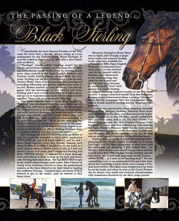 Friesian horses