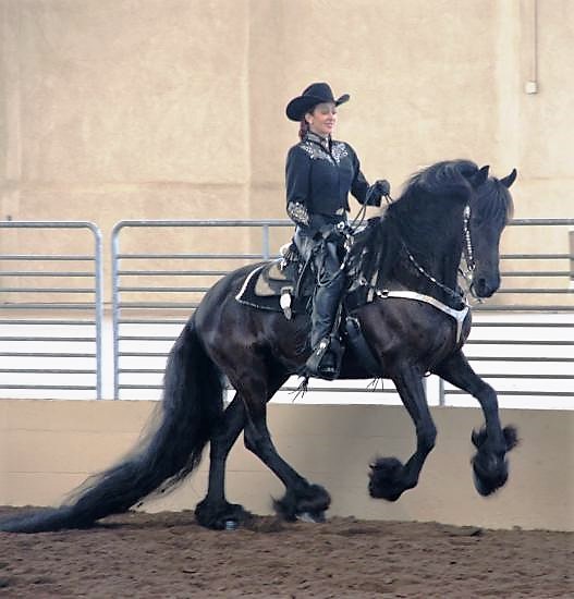 Featured Image for Show