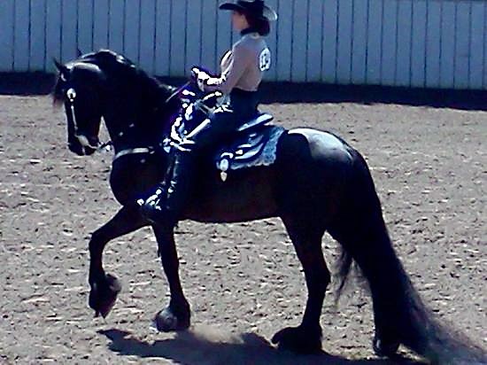 Featured Image for Show