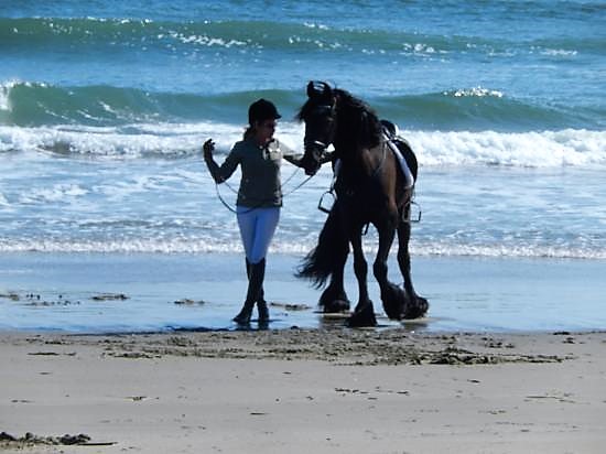 Featured Image for Show