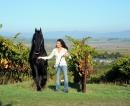 Horse Show - Sonoma Wine Country Photo Shoot