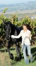 Horse Show - Sonoma Wine Country Photo Shoot
