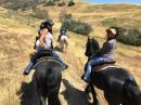 Horse Show - 2016 All Women's Trail Ride Camping Weekend
