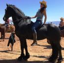 Horse Show - 2016 All Women's Trail Ride Camping Weekend